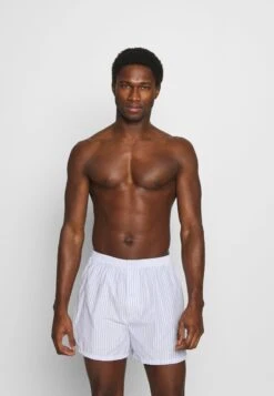 Pier One 5 PACK - Boxershorts - Light Blue/white 11 Pier One 5 PACK - Boxershorts - Light Blue/white -Pier One 139342f1516744e4937742c5f01eeccb