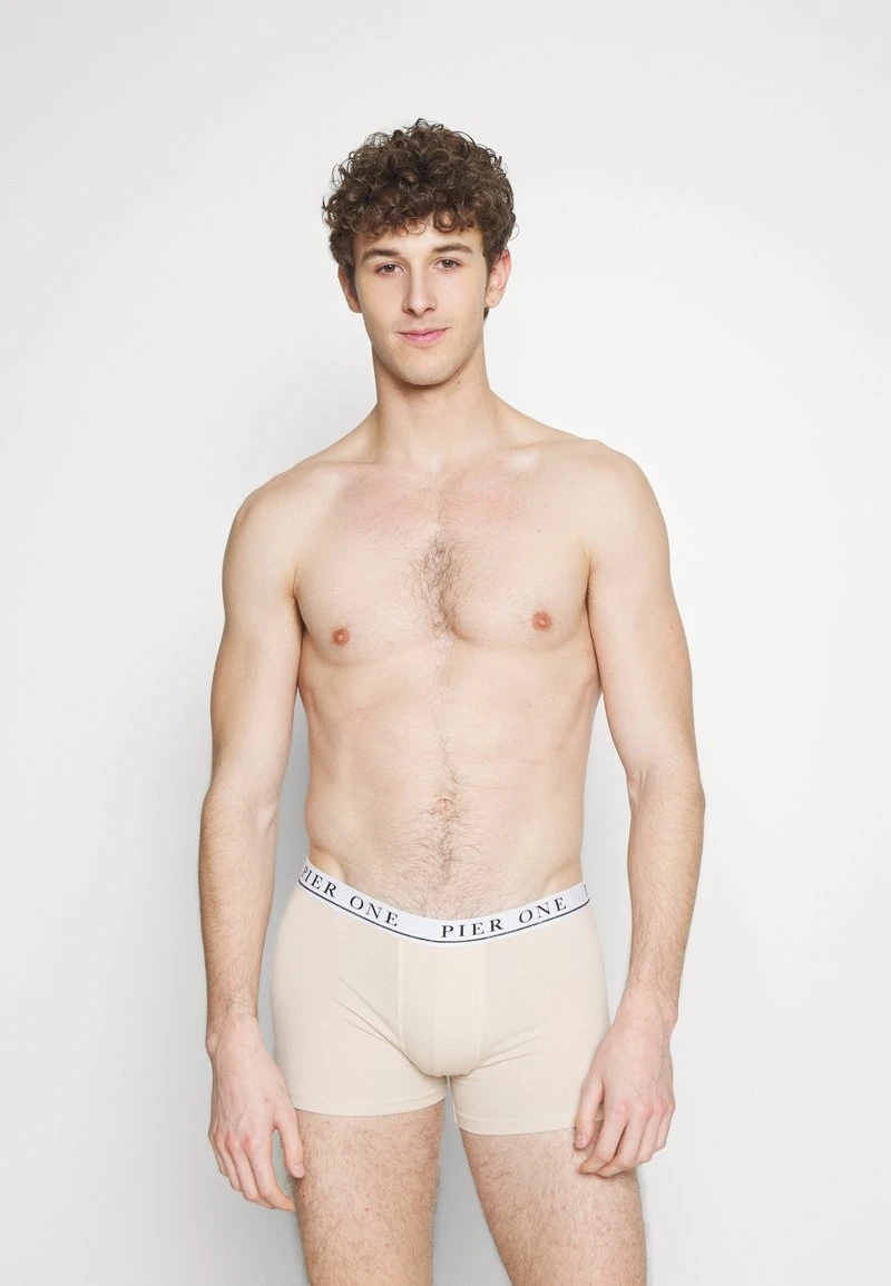 Pier One 5 PACK - Panties - Beige/light Green/black 5 Pier One 5 PACK - Panties - Beige/light Green/black – Bild 3