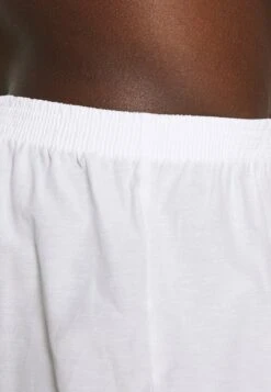 Pier One 5 PACK - Boxershorts - Light Blue/white 13 Pier One 5 PACK - Boxershorts - Light Blue/white -Pier One 8e2664e226c041628a342c1ad591e54d