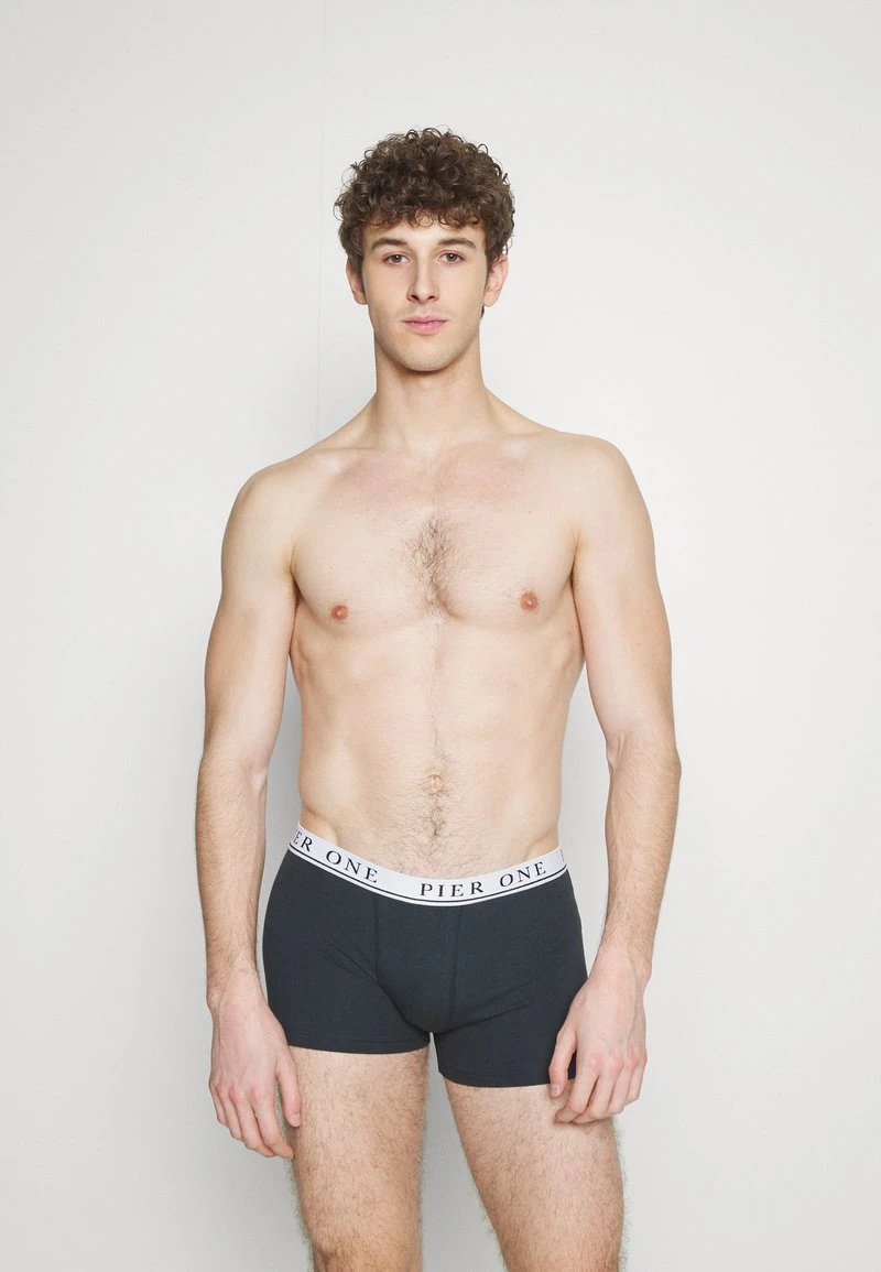 Pier One 5 PACK - Panties - Beige/green/bordeaux 6 Pier One 5 PACK - Panties - Beige/green/bordeaux – Bild 4